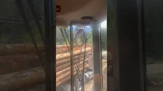 Loading a logging truck in one minute #shorts #viral #truck #diesel