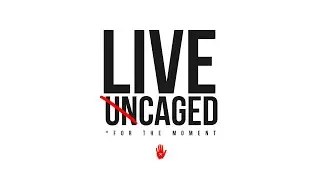 ❗#LIVECAGED - An important notification from YT Industries❗