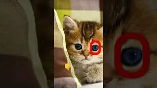история не моя 🤗