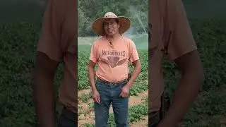 Testimonio de usuario de motobomba ANTARIX 4LD50UK4