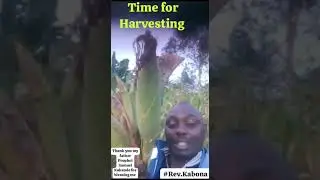 THIS IS WHAT THE PRAYERS OF PROPHET SAMUEL KAKANDE CAN DO