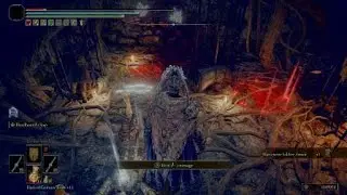 I guess I'm not doing Sellen's Quest this playthrough...