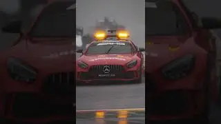 WEIRDEST F1 RACE EVER? 