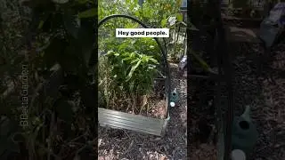 Have you checked on THAT part of your garden?
