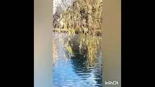 A Day at Park #reels #vlog #vlogs #parkvlog #youtubeshorts #greenary #freshstart #morning #beautiful
