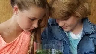 Transfer - short met Tim Gomes en Chloë Lohuis