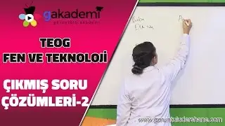 TEOG Fen ve Teknoloji Çıkmış Soru Çözümleri