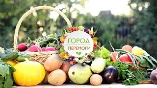 👩‍🌾Як доглядати за городом наприкінці весни ▶ Город Перемоги 46 Серія ▶ 6 соток