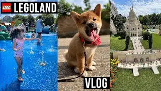 VLOG: ЛЕГОЛЕНД, ПРИУЧЕНИЕ ЩЕНКА СИБА ИНУ КО ВСЕМУ 🦊