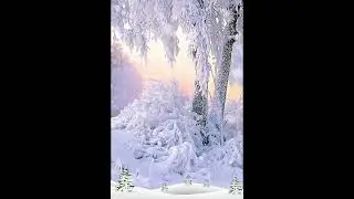 25 01 Татьянин день#short#shortvideoyoutube#зима#Татьяниндень#shorttomriko#tomriko#gladkova19462164