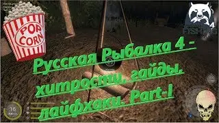 Russian Fishing 4 - tricks, guides, life hacking. Part-I