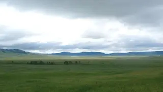 Ирина Булгутова