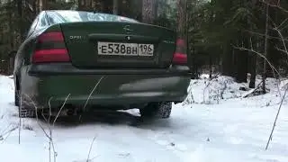Отсечка вектра б