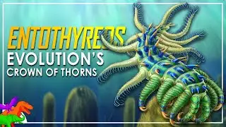 NEW Spiny Worm Species Shouldn't Exist | Entothyreos