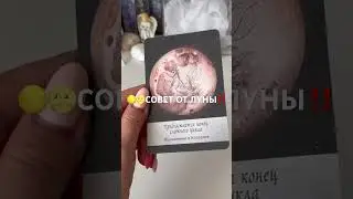 🌕🌝СОВЕТ ОТ ЛУНЫ‼️