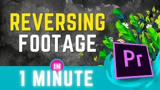 Reversing Footage In Premiere Pro