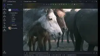 Lap demo, a family-friendly, offline photo manager for 10k+ photos.