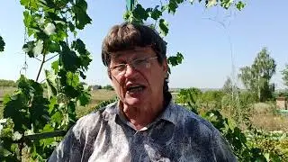 О поливе  на огородном участке