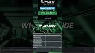 Your must have Bass loops for Slap House & EDM Music 