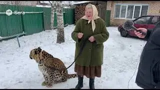 Бабка и Барсик