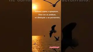 Человек прекрасен.