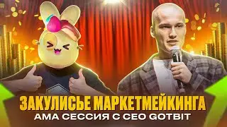 ИНСАЙДЫ в криптовалюте от маркет мейкера Gotbit