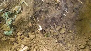 Ermeni Yaşam Alanındaki Milyondolarlık Defineyi Buldum....!!!