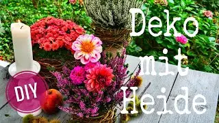 DIY-Idee: DEKO mit HEIDE / BESENHEIDE (Calluna Vulgaris) & HERBSTBLUMEN