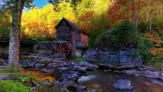 1 Hour of Meditation, water and Birds for Relaxation, Stress Relief, Meditation, Sleep, Study