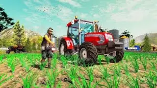 Tractor Farming video||tractor video||mini tractor video