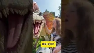 как успокоить динозавра по английски?  #english #легкийанглийский #учитьанглийский  #shortsviral