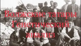 Татары - Генетический анализ (аутосомные данные G25)