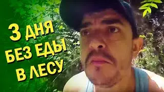 Как выжить в лесу без еды?
