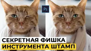 Клонирование с помощью инструмента штамп