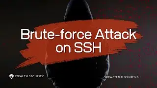 How to Attack SSH Login using Hydra | Brute Force using using Kali Linux and Hydra| Stealth Security