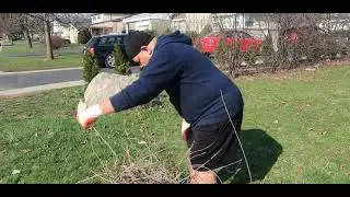 Vlog #5 Lawn Chores