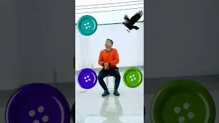Rotating  to crow,, tota,, owl & pigeon - magical vfx video