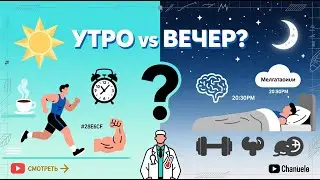 Лучшее время для тренировок: утро, день или вечер? Научный разбор