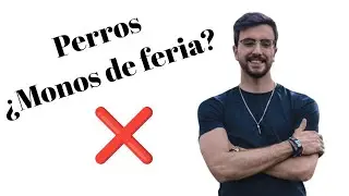 Tratar a los perros como monos de feria
