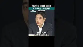 '외교안보 대통령' 김태효, 윤석열 대통령과 무슨 사이길래? #shorts #김태효 #윤석열 #아크로비스타