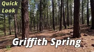 Quick Look: Griffith Spring Trail Hike - Flagstaff, Arizona