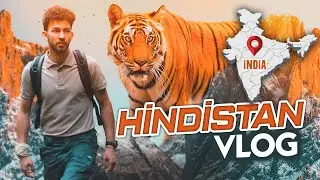 BENGAL KAPLANI’NI YAVRUSUYLA GÖRÜNTÜLEDİM! HİNDİSTAN VLOG
