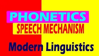 Phonetics And Human Speech Mechanism