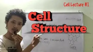Cell || Class 9 Science || Basic learning || Garo Lecture by Jumbo N Arengh