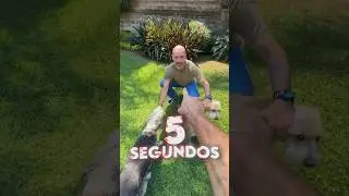 5 segundos.. CORRE o PIERDE 🥵😳