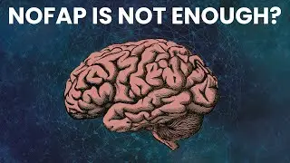 Nofap will NOT reset your dopamine UNLESS you do these things!