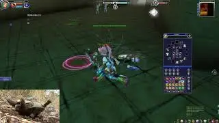 Fiesta Online zFamous redet trash