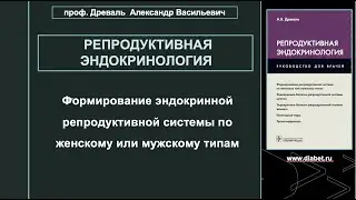 Лекция №1. Формирование эндокринной репродуктивной системы по женскому или мужскому типам