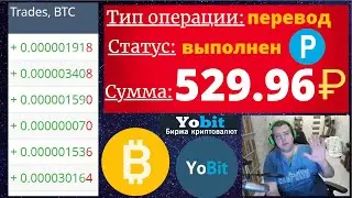🤸‍♀️Заработок на бирже криптовалют Yobit в партнёрской программе - 💲выплата 535 рублей на Payeer