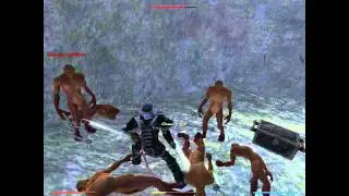 Gothic 3 180серия украшены сундук